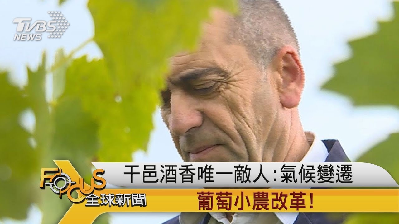 干邑酒香唯一敵人:氣候變遷 葡萄小農改革!