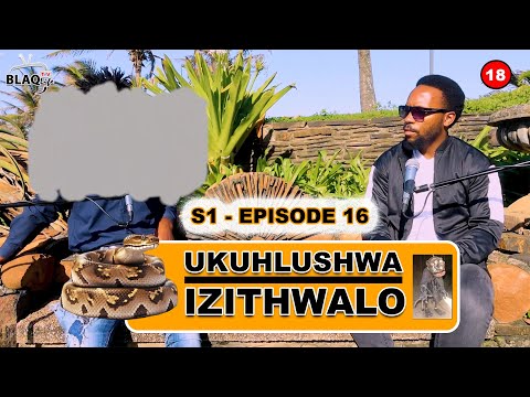Uthwele ngabacela imali emgaqweni | UKUHLUSHWA IZITHWALO | S1 - EP16