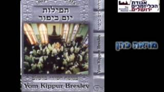 מראה כהן בורשטין יום כיפור