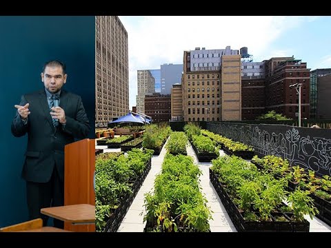 Importance of Small-Scale Food Crop Models in Urban and Peri-Urban Contexts