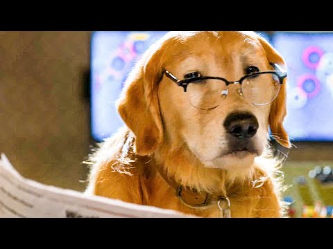 Cats & Dogs 3: Paws Unite (2020)  Trailer