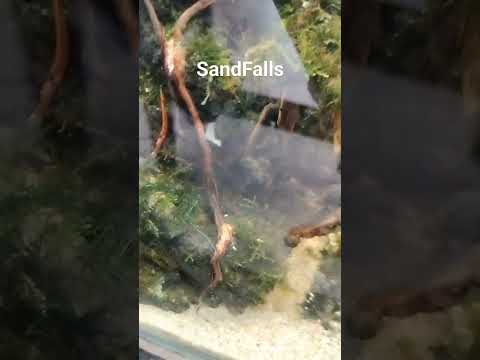 SandFalls