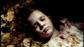 Black Night (Nuit Noire)