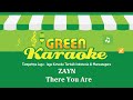 ZAYN - There You Are (Karaoke)
