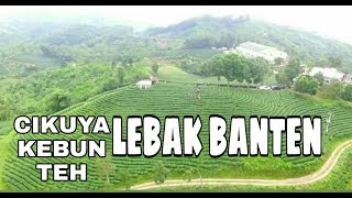Download lagu VIRALL.!!! - TEMPAT INSTAGRAMABLE CIKUYA DAN HUTAN KAYU LEBAK DAMAR (LEBAK BANTEN) mp3