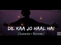 Dil Ka Jo Haal Hai Slowed Reverb Abhijeet Bhattacharya Shreya Ghoshal DreamSideLofi