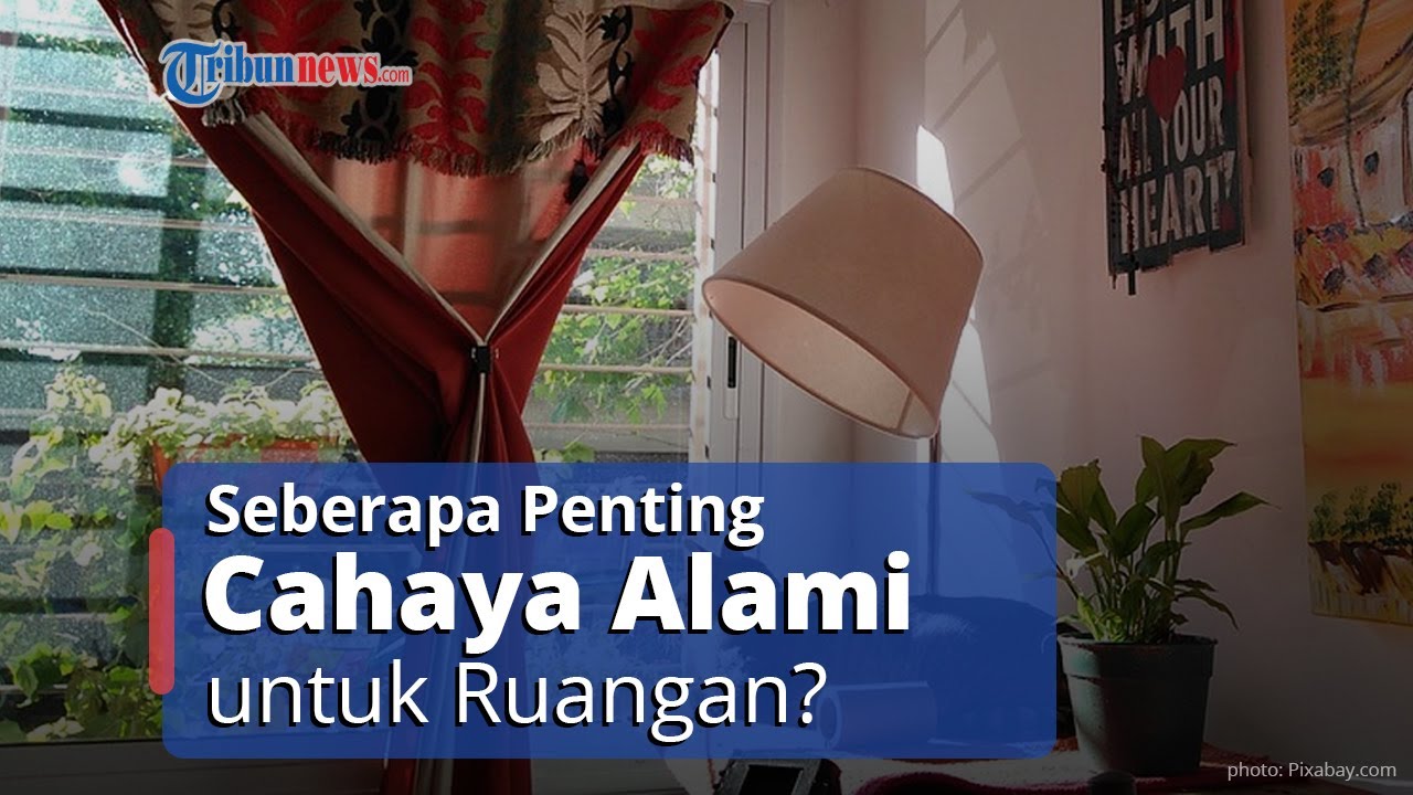 Manfaat Cahaya  Alami  untuk Ruangan  di Dalam Rumah Menurut 