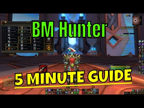 Beast Mastery Hunter 5 minute GUIDE / Shadowlands 9.0.5 / Talents, Cov, Stats, Lego, Rotation, Tips