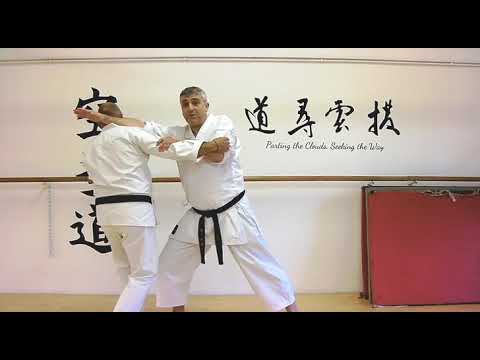 shuto uchi Bunkai Strategies 2018 week 39 koryu karate oyo jutsu
