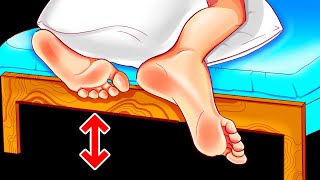 Why Beds Are Raised Off The Ground + 14 Other Cool Facts