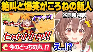 デビュー初日からぶっ飛んだ配信をかます"ころね声"の新人に驚愕する戌神ころねの翻訳同時視聴おもしろまとめ【戌神ころね/ジジ・ムリン/エリザベス・ローズ・ブラッドフレイム/ホロライブ/切り抜き】