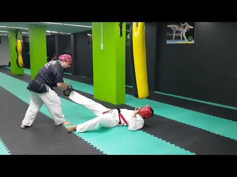 Aikijutsu/Ninbudo Aikijutsu grand master