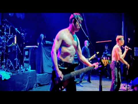 The Stranglers: On Stage, On Screen