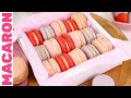 MACARONS PERFEITOS OS SEGREDOS QUE NINGUÉM TE CONTA Faça Em Casa E Sem Forno Elétrico