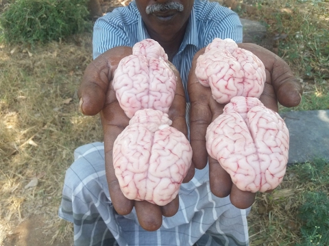 download lagu mp3 mp4 Malai Fry, download lagu Malai Fry gratis, unduh video klip Malai Fry