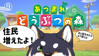 ぬきたしの話 - 【あつ森】起きろしば!カブ買うぞ! 9日目【にじさんじ/黒井しば】