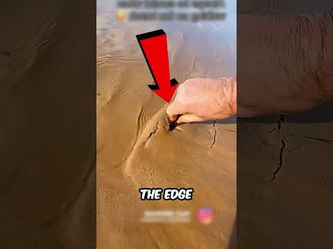 Strange find in the sand 😱🏖️