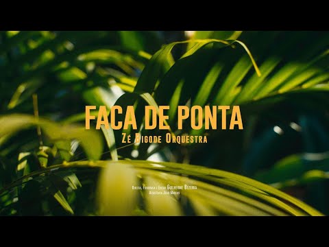 VÍDEO | 
