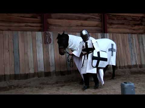 Zagroda Edukacyjna Patataj - Koń w Wojsku