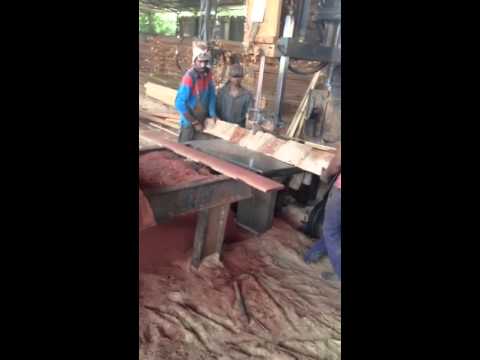 Process of Meranti Wood
