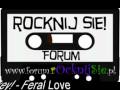Wakey! Wakey! - Feral Love 