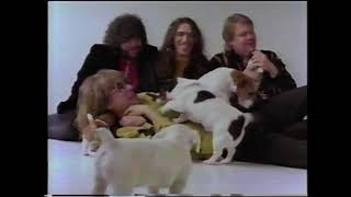 Music video thumbnail preview for NRBQ - If I Don't Have You (Music Video) by NRBQ