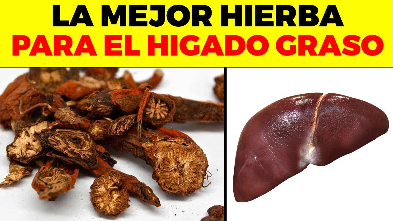 ¡TU HÍGADO GRASO te AGRADECERÁ que TOMES ESTA HIERBA!
