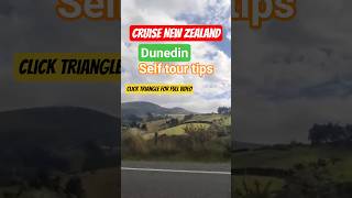 Things you can't miss in Dunedin cruise port #newzealand #cruiseguide