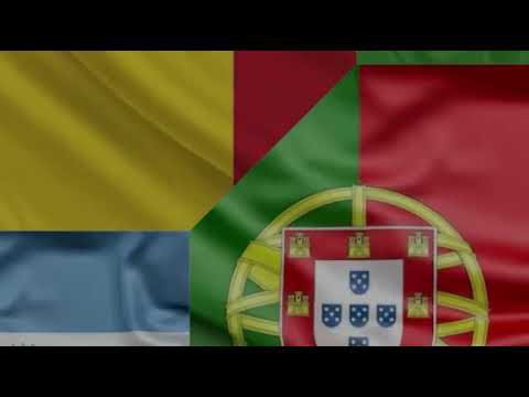 TREM DAS CASINHAS - BLOQUINHO DO RUGAL