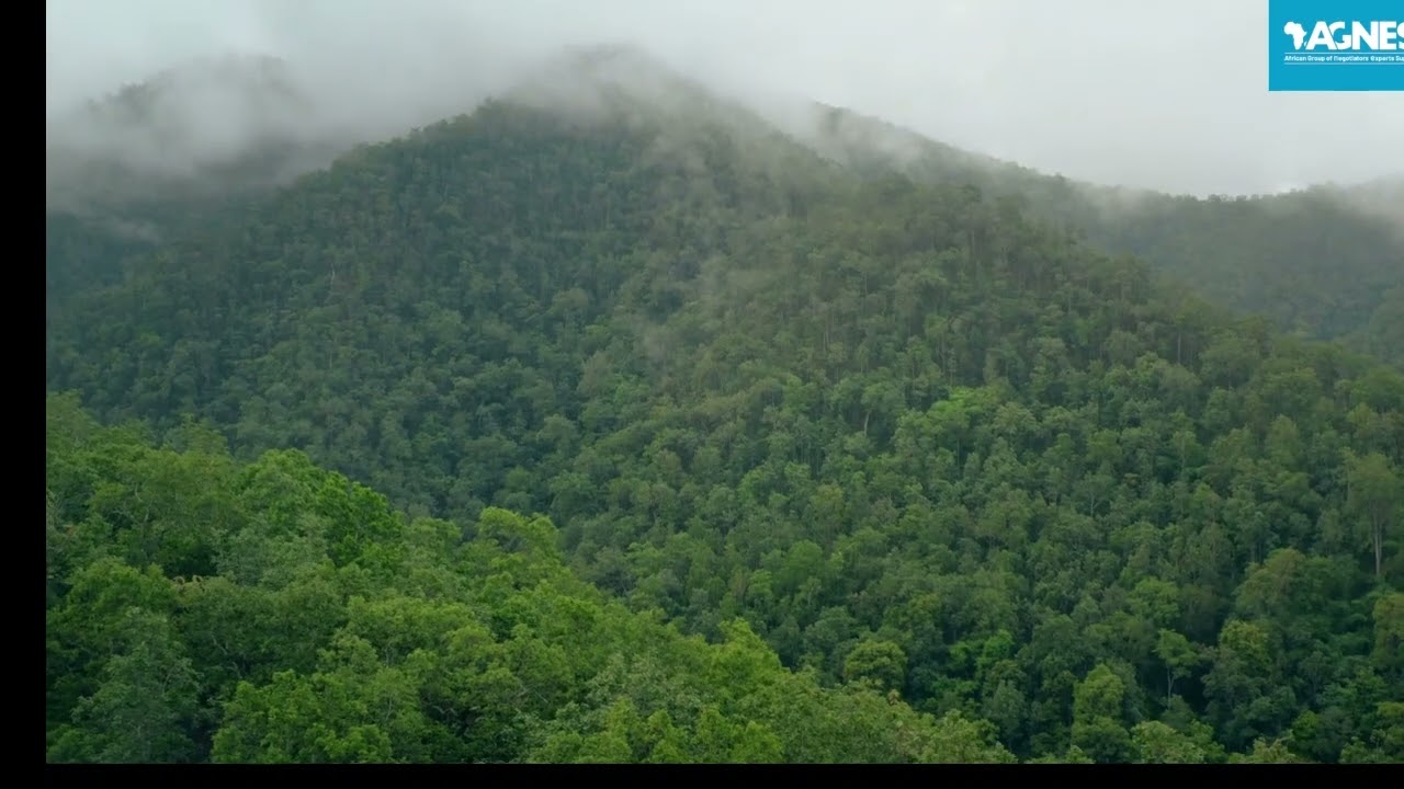 Capacity Development and Training at AGNES