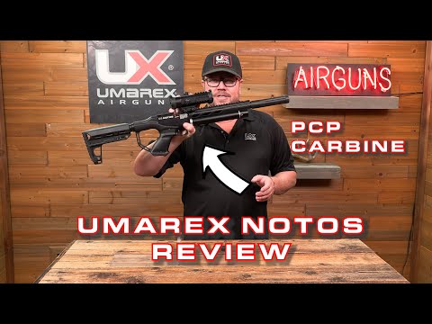 Umarex Synergis - FULL Review - What to Expect From NEW Synergis