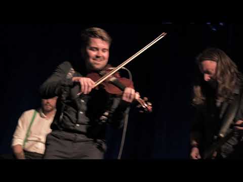 Shamrock Redheads - Virgin (Live)