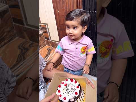 Anaya Or Papa kha gye Dada Ji ke Birthday Ka Cake  🎂 😱🥹