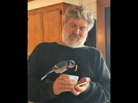 Don and Diane Shipley LIVE - December 29th at 1800 EST Thumbnail