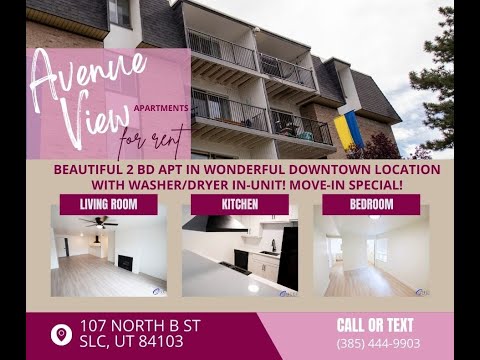 Join Avenue View, a Sophisticated Downtown Community! property video