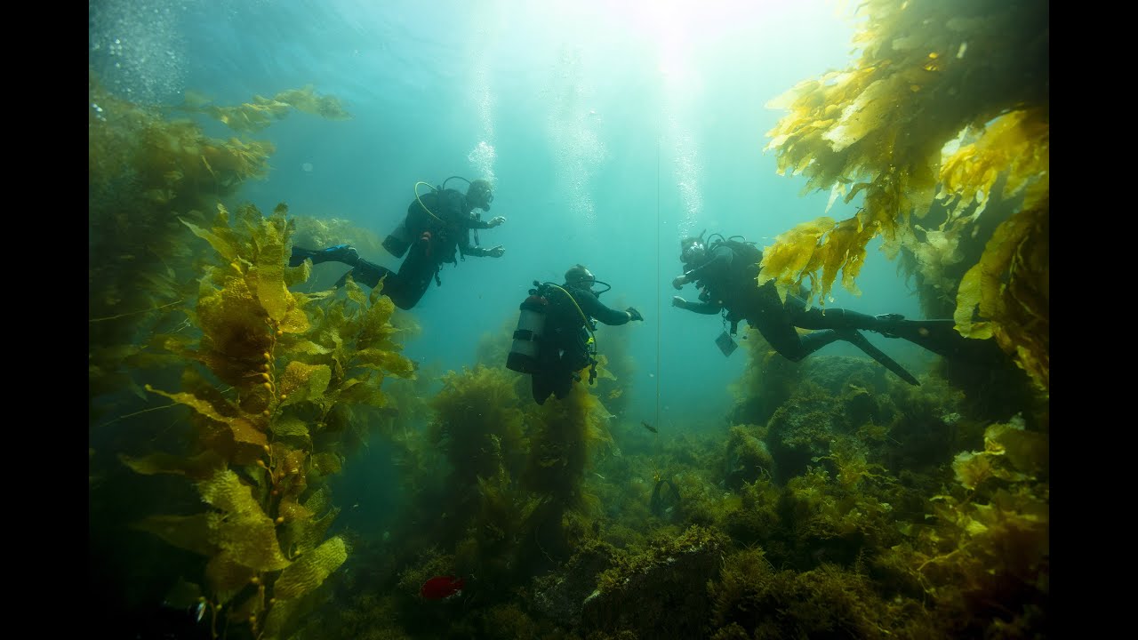 Dive Stories: Bryan Anderson facade placeholder