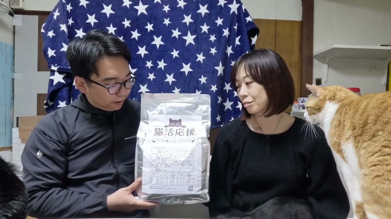 ねこだらけ３０歳になりました！！皆さま応援ありがとうございます！！