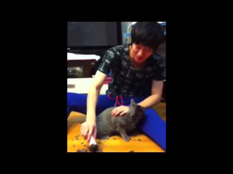 Heechul shaves heebum from siwon's twitter [After]