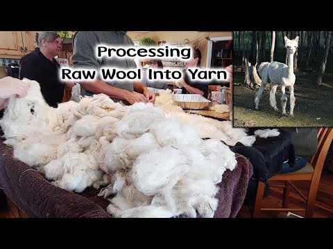 image-How is wool made?