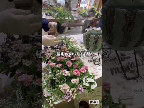 屋根付きのテラスまたはバルコニーのバスケット用に吊り下げられた多年生の顕花植物 5 つ  庭園