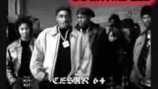 2pac ft Three 6 Mafia It&#39;s A Fight