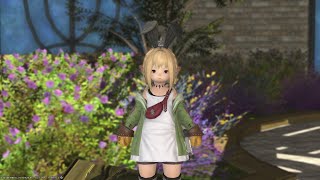 【FF14】やばい時間のライブ配信。漆黒クリア？