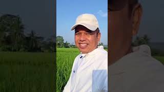 Download lagu Who doesn't want to go to school || Kang Dedi Mulyadi #kdm #kangdedymulyadi #dedimulyadi mp3