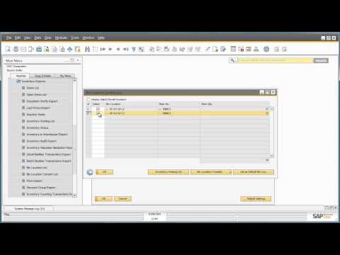 How to Create a Bin Location in SAP Business One