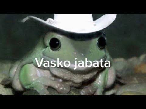 Vasko Zabata & Ceca Mecata MIX 1 HOUR