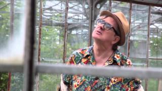 LABVĒLĪGAIS TIPS NIANSES