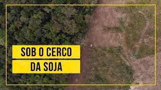 Miniatura do vídeo