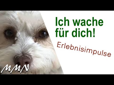 "ICH WACHE FÜR DICH" - Kommentierter Film am Erlebnisabend in der Stadthalle Wangen,  2018