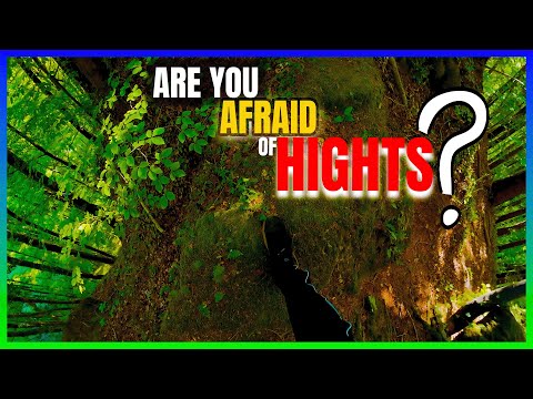 Burgruine versteckt im Wald - Eine gefährliche Reise | Cinematic Convoy 