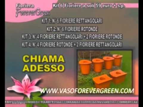 Come fare con piante e fiori quando si va in vacanza?